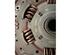 Flywheel AUDI A4 B7 Convertible (8HE)