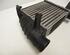 Intercooler AUDI A4 (8EC, B7)