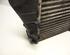 Intercooler AUDI A4 (8EC, B7)