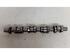 Camshaft AUDI A4 (8EC, B7)