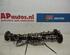 Camshaft AUDI A6 (4F2, C6)