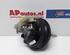 Vacuum Pump AUDI A6 Avant (4F5, C6)