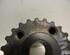 Crankshaft Gear AUDI A4 Avant (8E5, B6)