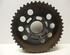 Camshaft Gear AUDI A6 (4F2, C6)