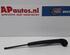 Wiper Arm AUDI A1 Sportback (8XA, 8XF), AUDI A1 (8X1, 8XK)