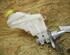 Brake Master Cylinder FIAT Grande Punto (199), FIAT Punto Evo (199), FIAT Punto (199)