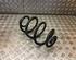 Coil Spring RENAULT Clio III (BR0/1, CR0/1)