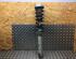 Suspension Strut BMW 5er (E60), BMW 5er Touring (E61)