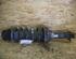 Suspension Strut SEAT Ibiza II (6K1)