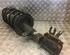 Suspension Strut FIAT Panda (169)