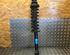 Suspension Strut VW POLO (6N2)