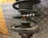 Suspension Strut VW POLO (6N2)