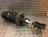 Suspension Strut FIAT GRANDE PUNTO (199_), FIAT PUNTO EVO (199_), FIAT PUNTO (199_), ABARTH GRANDE PUNTO