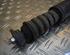 Shock Absorber RENAULT Clio III (BR0/1, CR0/1), RENAULT Clio IV (BH)