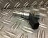 Injector Nozzle AUDI A4 Avant (8ED, B7)