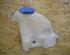 Washer Fluid Tank (Bottle) VW Lupo (60, 6X1)