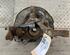 Stub Axle TOYOTA Corolla (NDE12, ZDE12, ZZE12), TOYOTA Corolla Stufenheck (E12J, E12T)