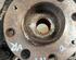 Stub Axle FIAT PUNTO (199_), FIAT GRANDE PUNTO (199_), FIAT PUNTO EVO (199_)