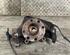 Stub Axle FIAT PUNTO (199_), FIAT GRANDE PUNTO (199_), FIAT PUNTO EVO (199_)