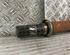 Drive Shaft RENAULT Clio III Grandtour (KR0/1)