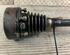 Drive Shaft VW Golf V Variant (1K5), VW Golf VI Variant (AJ5)