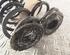 Coil Spring SEAT Leon (1P1)