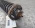 Suspension Strut ROVER 400 (RT)