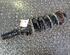 Suspension Strut AUDI A2 (8Z0)