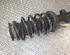 Suspension Strut SAAB 9-5 (YS3E)