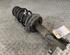 Suspension Strut OPEL Zafira Tourer C (P12)