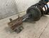 Suspension Strut FIAT ULYSSE (179_), LANCIA PHEDRA (179_)