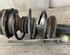 Suspension Strut BMW 3 Compact (E46), BMW 3 Touring (E46), BMW 3 Convertible (E46), BMW 3 Coupe (E46)