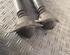 Shock Absorber SEAT Leon (1P1)