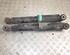 Shock Absorber RENAULT Kangoo Express (FW0/1)