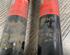 Shock Absorber AUDI A6 (4F2, C6), AUDI A6 Avant (4F5, C6), AUDI A6 Allroad (4FH, C6)