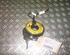 Air Bag Contact Ring NISSAN Almera Tino (V10)