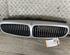 Radiateurgrille JAGUAR X-Type (CF1)