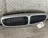 Radiator Grille JAGUAR X-Type (CF1)