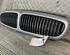 Radiator Grille JAGUAR X-Type (CF1)