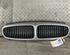 Radiator Grille JAGUAR X-Type (CF1)