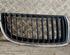 Radiator Grille BMW 3 Touring (E91), BMW 3 (E90)