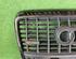 Radiator Grille AUDI A6 (4F2, C6), AUDI A6 Avant (4F5, C6), AUDI A6 Allroad (4FH, C6)