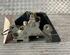 Door Lock MERCEDES-BENZ 123 Stufenheck (W123), MERCEDES-BENZ 123 T-Model (S123)