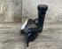 Power steering pump CITROËN C4 GRAND PICASSO I (UA_), CITROËN C4 PICASSO I MPV (UD_)