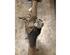 Axle MITSUBISHI L 300 III Van (P0_V, P1_V, P_2V), MITSUBISHI L 300 III Bus (P0_W, P1_W, P2_W, P3_W)