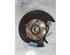 Stub Axle LAND ROVER FREELANDER (L314), LAND ROVER FREELANDER Soft Top (L314)