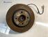 Stub Axle RENAULT CLIO II (BB_, CB_), RENAULT THALIA I (LB_), RENAULT CLIO III (BR0/1, CR0/1)