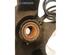 Stub Axle NISSAN MICRA III (K12)