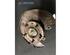 Stub Axle MAZDA 626 IV Hatchback (GE)