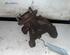 Stub Axle FORD ESCORT VI (GAL, AAL, ABL), FORD ESCORT CLASSIC (AAL, ABL), FORD ESCORT V (AAL, ABL)